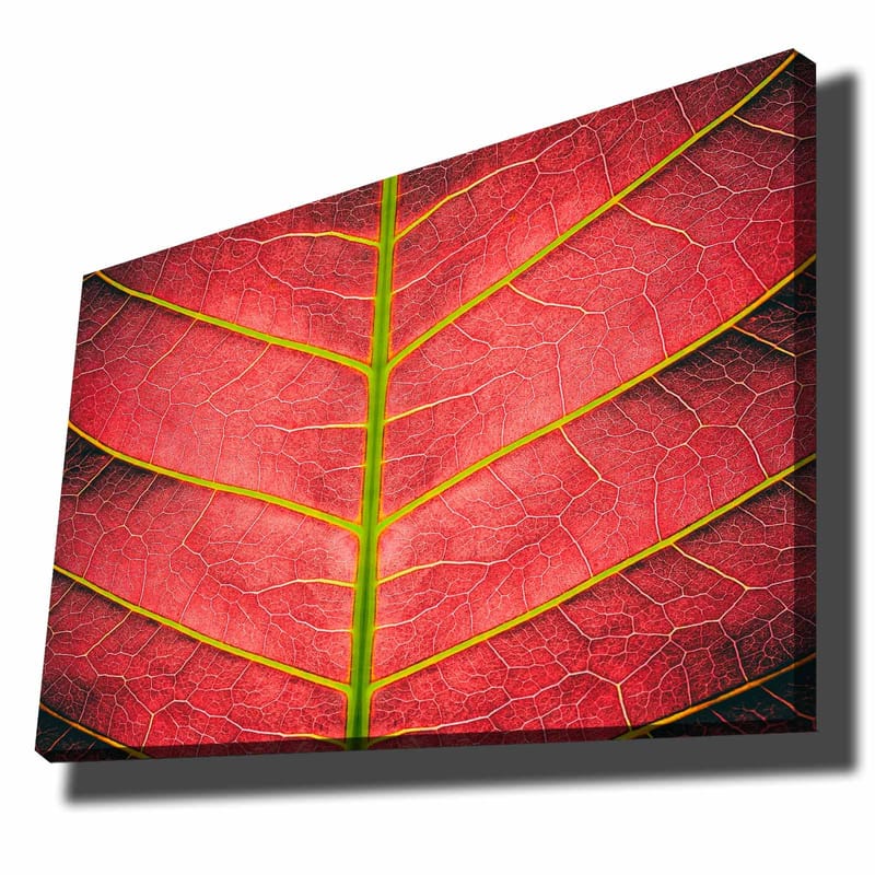 Koristeellinen Canvastaulu 70x100 cm - Monivärinen - Sisustustuotteet - Taulu & taide - Canvas-taulu
