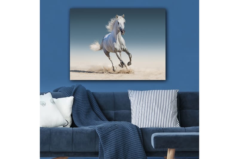 Koristeellinen Canvastaulu 70x100 cm - Monivärinen - Sisustustuotteet - Taulu & taide - Canvas-taulu