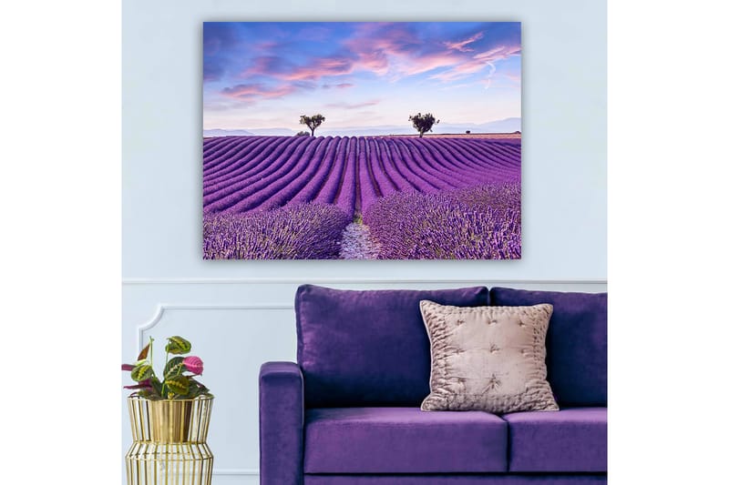 Koristeellinen Canvastaulu 70x100 cm - Monivärinen - Sisustustuotteet - Taulu & taide - Canvas-taulu