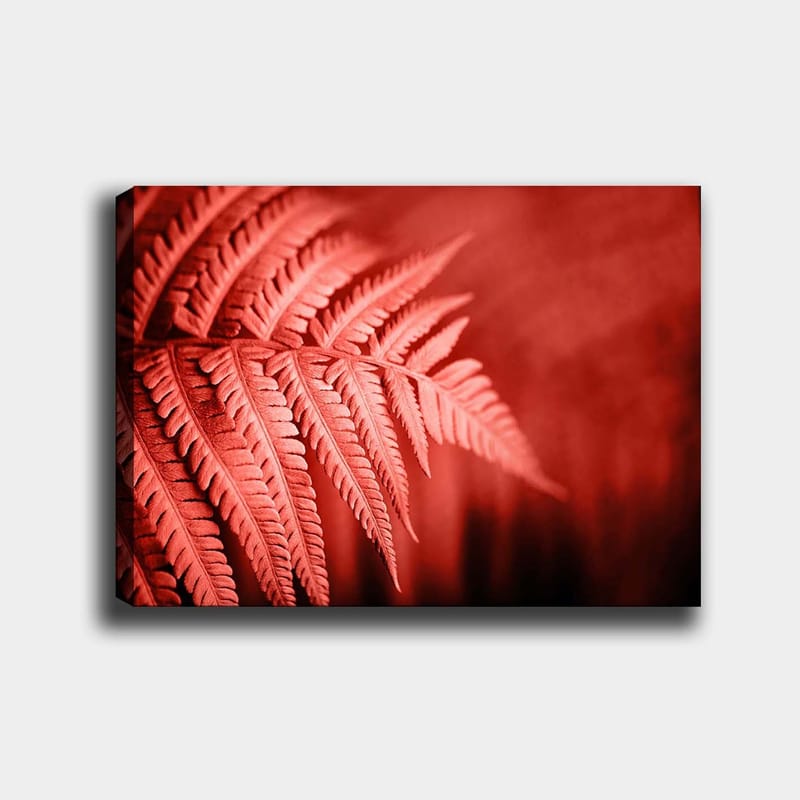 Koristeellinen Canvastaulu 70x100 cm - Monivärinen - Sisustustuotteet - Taulu & taide - Canvas-taulu