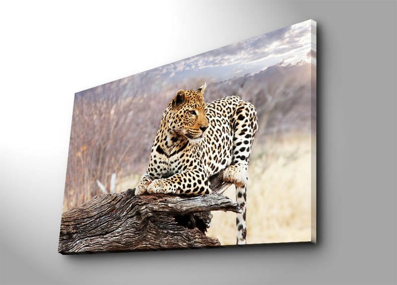 Koristeellinen Canvastaulu 70x100 cm - Monivärinen - Sisustustuotteet - Taulu & taide - Canvas-taulu