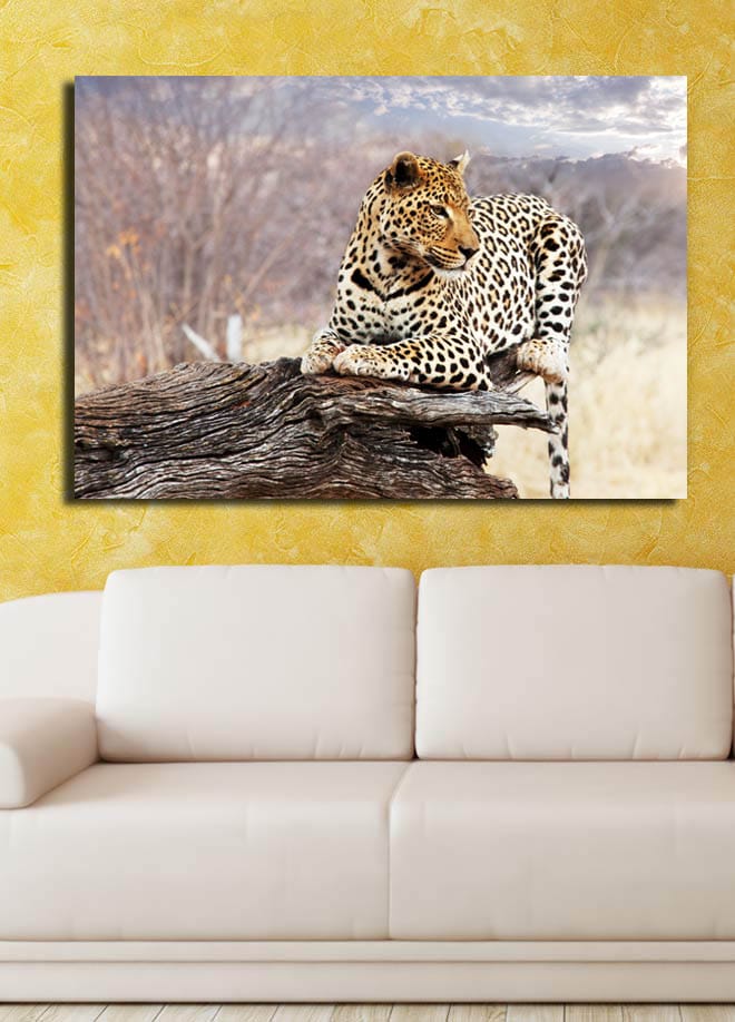 Koristeellinen Canvastaulu 70x100 cm - Monivärinen - Sisustustuotteet - Taulu & taide - Canvas-taulu