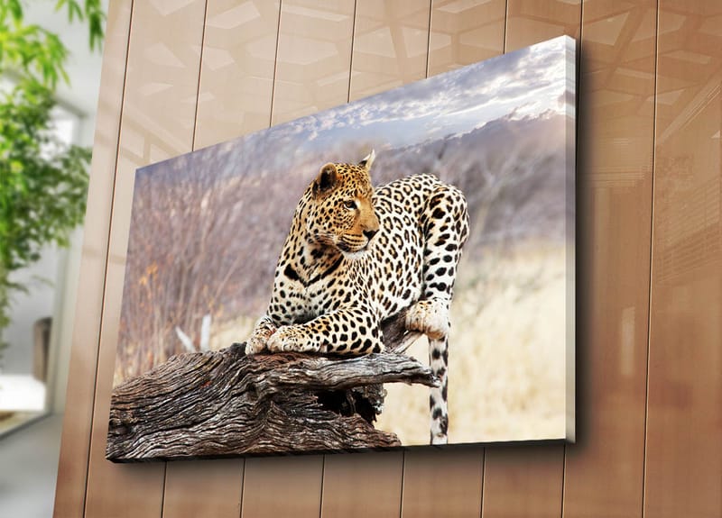 Koristeellinen Canvastaulu 70x100 cm - Monivärinen - Sisustustuotteet - Taulu & taide - Canvas-taulu