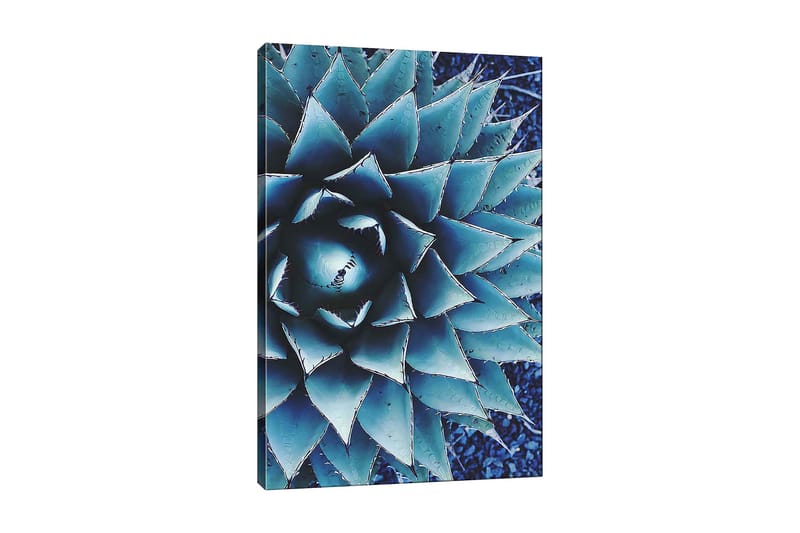 Koristeellinen Canvastaulu 70x100 cm - Monivärinen - Sisustustuotteet - Taulu & taide - Canvas-taulu
