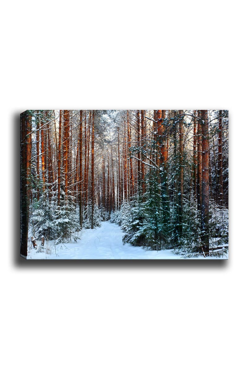 Koristeellinen Canvastaulu 70x100 cm - Monivärinen - Sisustustuotteet - Taulu & taide - Canvas-taulu