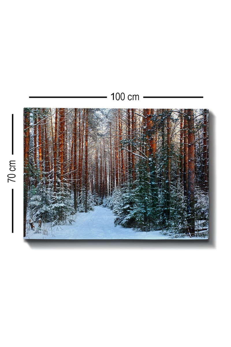 Koristeellinen Canvastaulu 70x100 cm - Monivärinen - Sisustustuotteet - Taulu & taide - Canvas-taulu