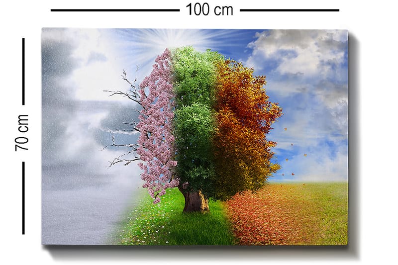 Koristeellinen Canvastaulu 70x100 cm - Monivärinen - Sisustustuotteet - Taulu & taide - Canvas-taulu