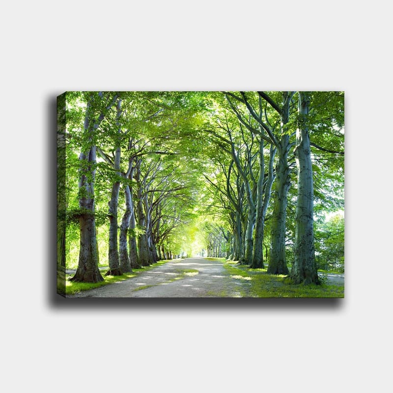 Koristeellinen Canvastaulu 70x100 cm - Monivärinen - Sisustustuotteet - Taulu & taide - Canvas-taulu