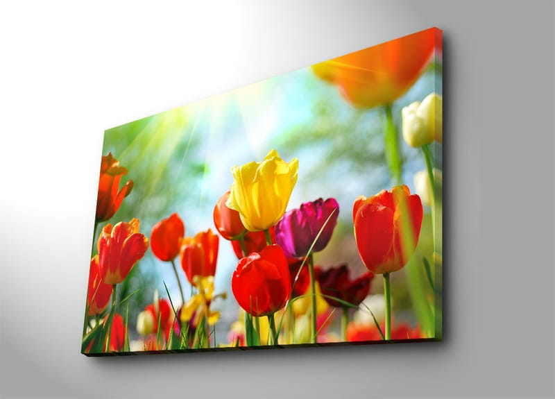 Koristeellinen Canvastaulu 70x100 cm - Monivärinen - Sisustustuotteet - Taulu & taide - Canvas-taulu