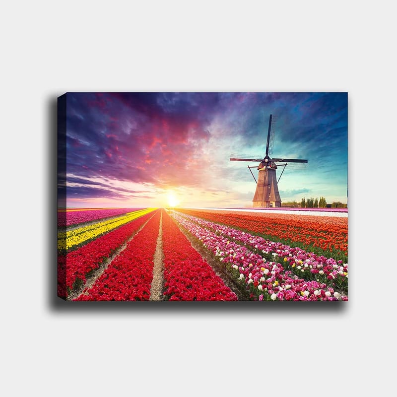 Koristeellinen Canvastaulu 70x100 cm - Monivärinen - Sisustustuotteet - Taulu & taide - Canvas-taulu