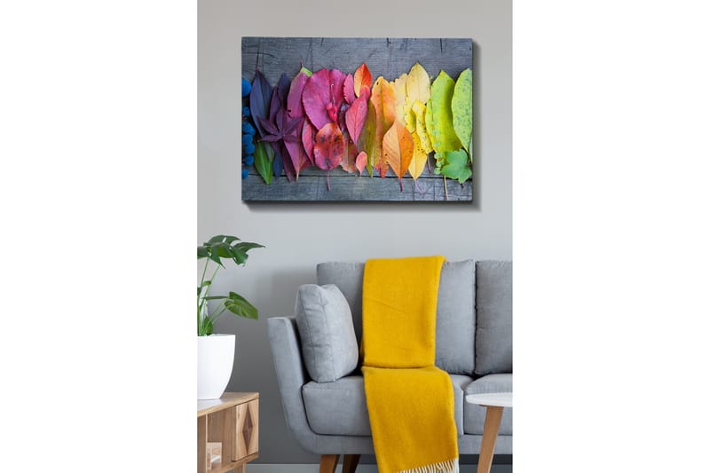 Koristeellinen Canvastaulu 70x100 cm - Monivärinen - Sisustustuotteet - Taulu & taide - Canvas-taulu