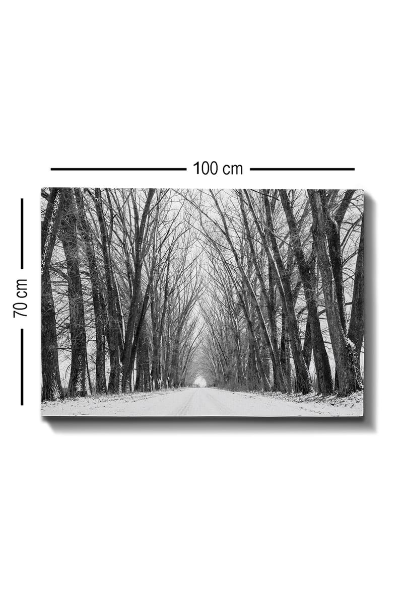 Koristeellinen Canvastaulu 70x100 cm - Monivärinen - Sisustustuotteet - Taulu & taide - Canvas-taulu