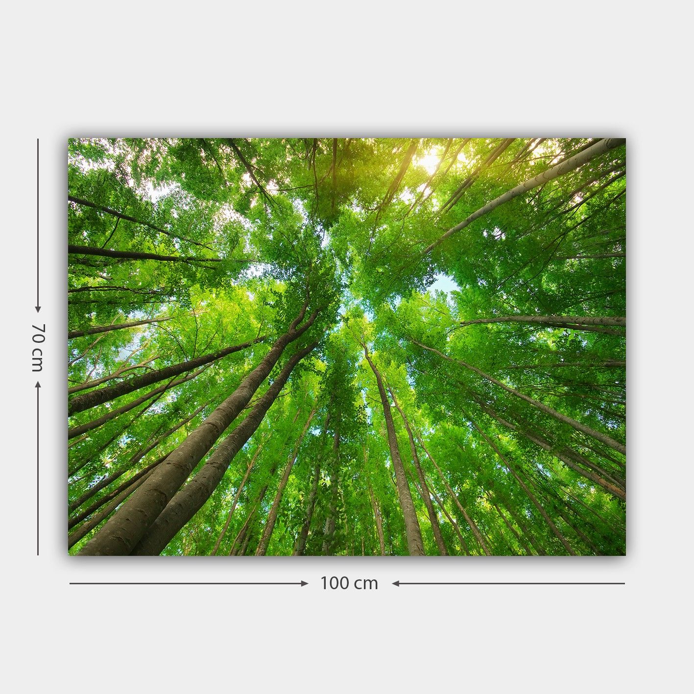 Koristeellinen Canvastaulu 70x100 cm - Monivärinen - Sisustustuotteet - Taulu & taide - Canvas-taulu