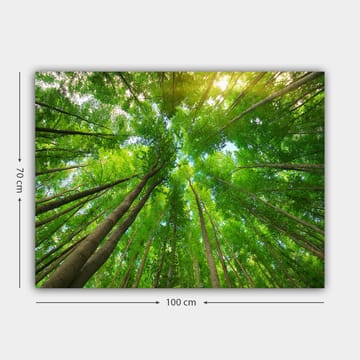 Koristeellinen Canvastaulu 70x100 cm - Monivärinen - Sisustustuotteet - Taulu & taide - Canvas-taulu