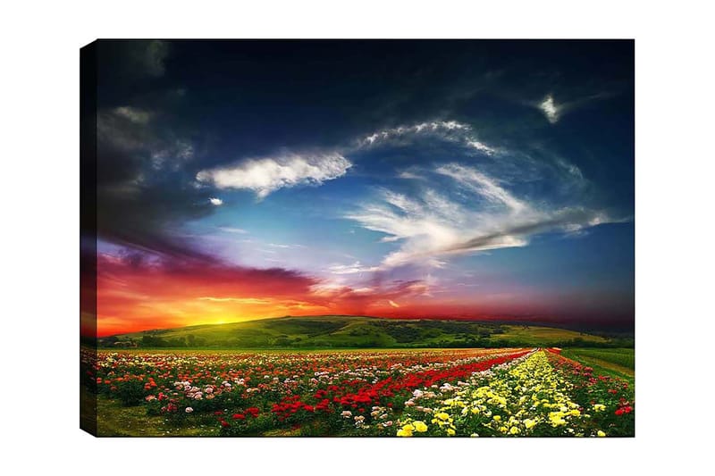 Koristeellinen Canvastaulu 70x100 cm - Monivärinen - Sisustustuotteet - Taulu & taide - Canvas-taulu