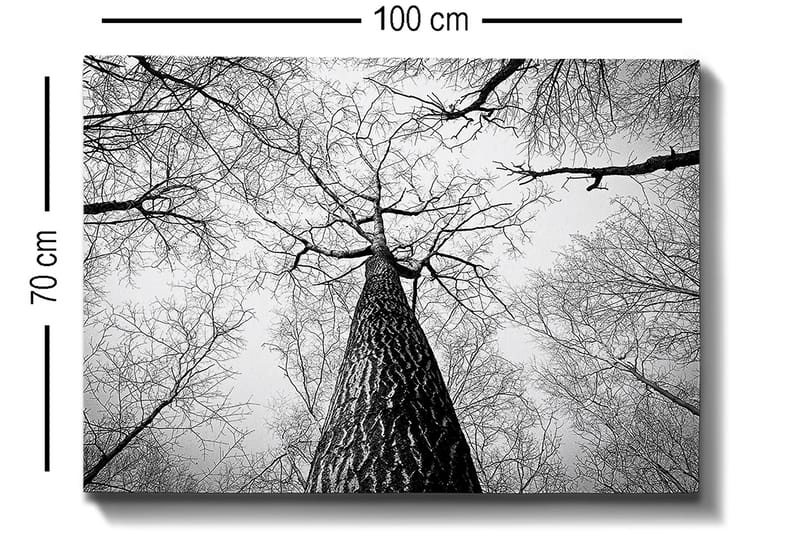 Koristeellinen Canvastaulu 70x100 cm - Monivärinen - Sisustustuotteet - Taulu & taide - Canvas-taulu