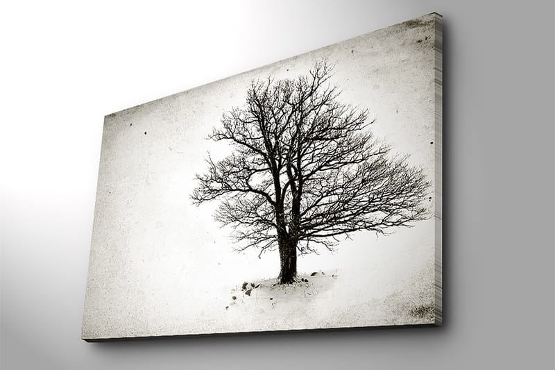 Koristeellinen Canvastaulu 70x100 cm - Monivärinen - Sisustustuotteet - Taulu & taide - Canvas-taulu