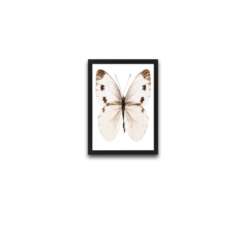 Koristeellinen Kehystetty Maalaus 2-os 30x40 cm - Monivärinen - Sisustustuotteet - Taulu & taide - Canvas-taulu