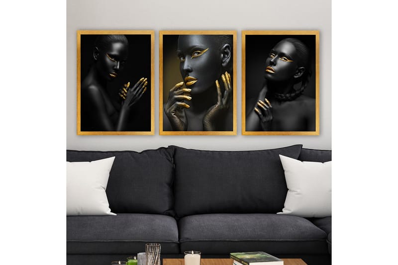 Koristeellinen Kehystetty Maalaus 3-os 35x45 cm, Monivärinen