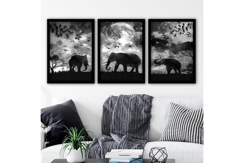 Koristeellinen Kehystetty Maalaus 3-os 35x45 cm, Monivärinen