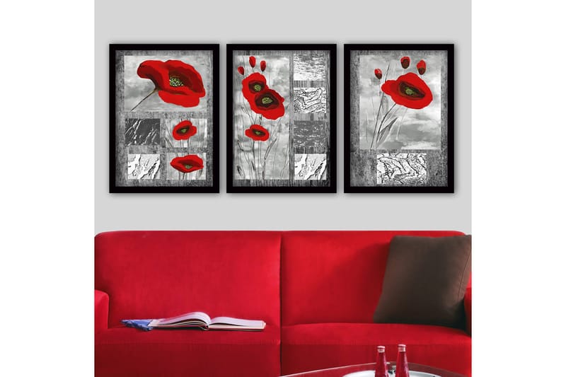 Koristeellinen Kehystetty Maalaus 3-os 35x45 cm, Monivärinen