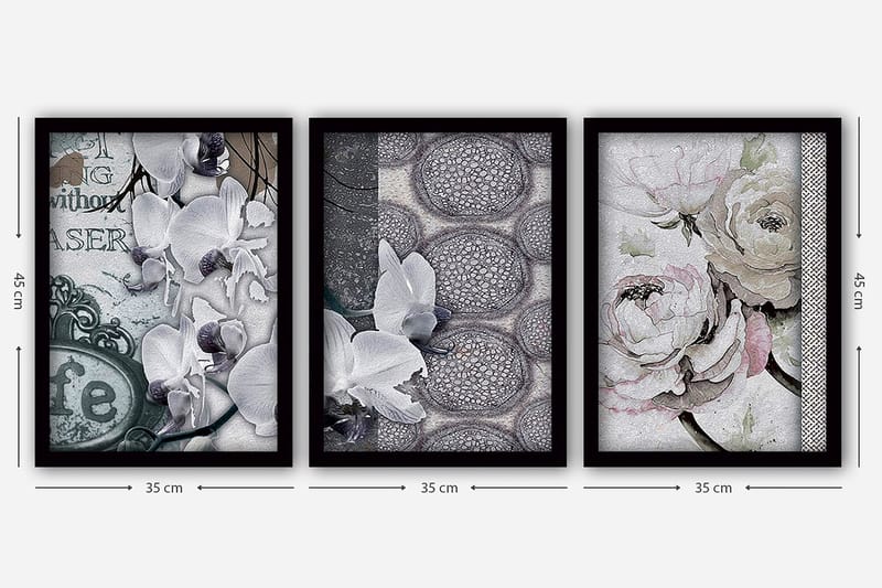 Koristeellinen Kehystetty Maalaus 3-os 35x45 cm - Monivärinen - Sisustustuotteet - Taulu & taide - Canvas-taulu