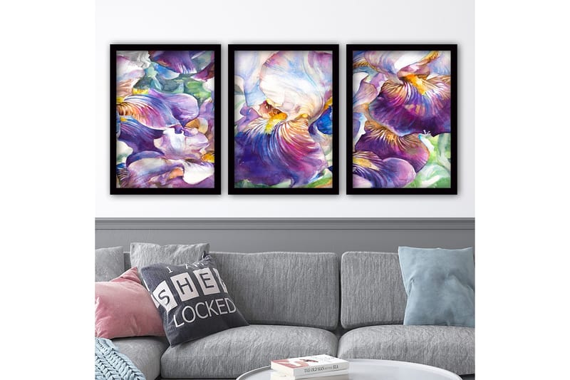 Koristeellinen Kehystetty Maalaus 3-os 35x45 cm, Monivärinen