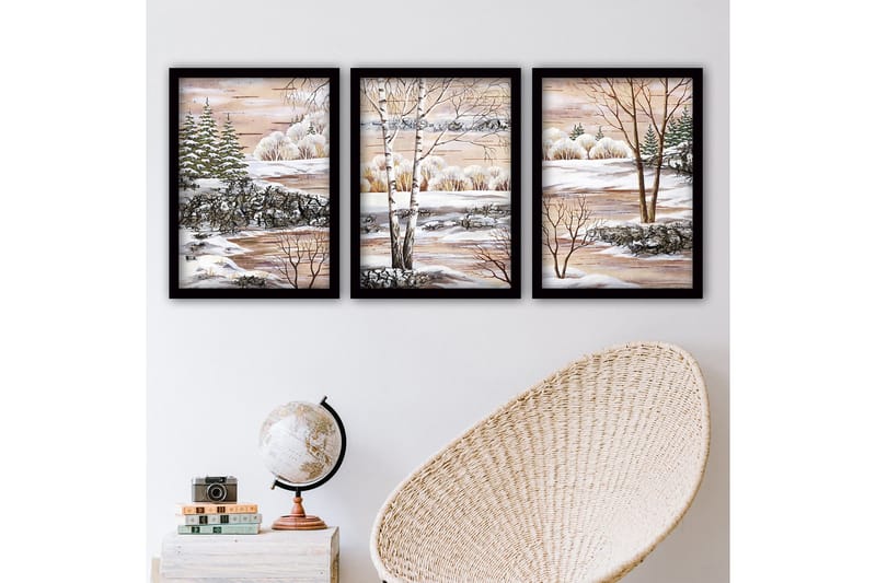 Koristeellinen Kehystetty Maalaus 3-os 35x45 cm, Monivärinen