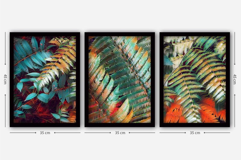 Koristeellinen Kehystetty Maalaus 3-os 35x45 cm - Monivärinen - Sisustustuotteet - Taulu & taide - Canvas-taulu