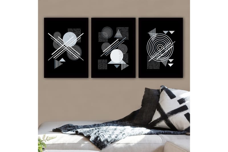 Koristeellinen Kehystetty Maalaus 3-os 35x45 cm, Monivärinen