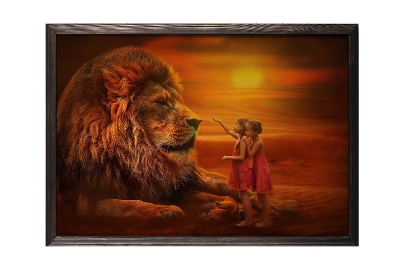 Koristeellinen Kehystetty Maalaus  35x50 cm - Monivärinen - Sisustustuotteet - Taulu & taide - Canvas-taulu