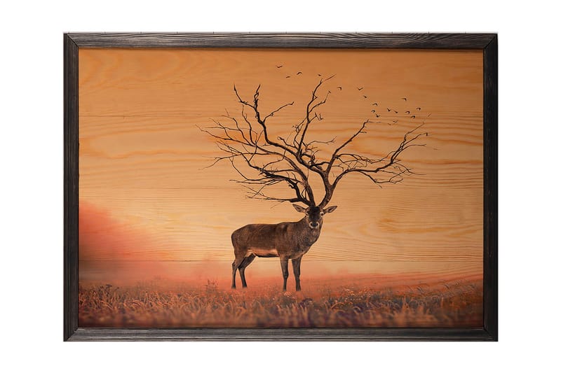 Koristeellinen Kehystetty Maalaus  35x50 cm - Monivärinen - Sisustustuotteet - Taulu & taide - Canvas-taulu