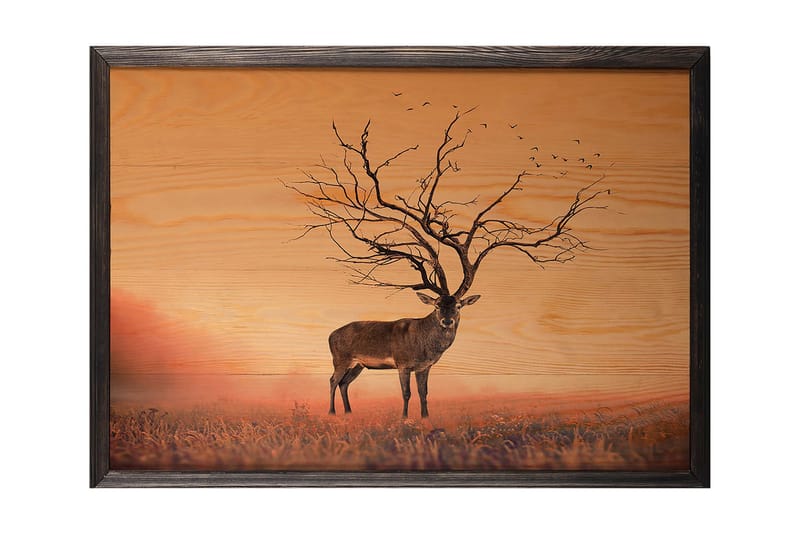 Koristeellinen Kehystetty Maalaus  50x70 cm - Monivärinen - Sisustustuotteet - Taulu & taide - Canvas-taulu