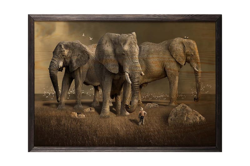 Koristeellinen Kehystetty Maalaus  50x70 cm - Monivärinen - Sisustustuotteet - Taulu & taide - Canvas-taulu