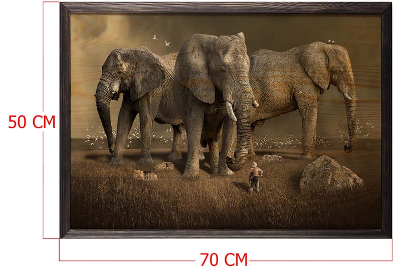 Koristeellinen Kehystetty Maalaus  50x70 cm - Monivärinen - Sisustustuotteet - Taulu & taide - Canvas-taulu
