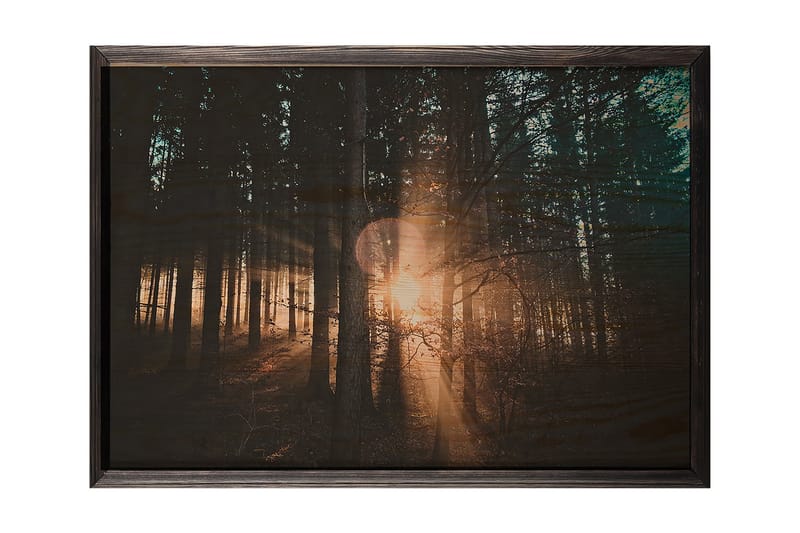 Koristeellinen Kehystetty Maalaus  50x70 cm - Monivärinen - Sisustustuotteet - Taulu & taide - Canvas-taulu