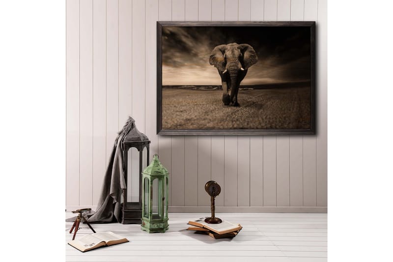Koristeellinen Kehystetty Maalaus  50x70 cm - Monivärinen - Sisustustuotteet - Taulu & taide - Canvas-taulu