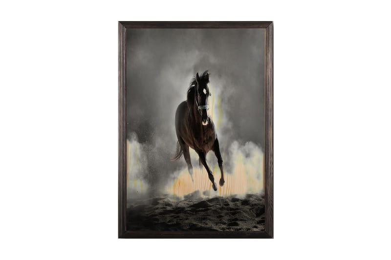 Koristeellinen Kehystetty Maalaus  50x70 cm - Monivärinen - Sisustustuotteet - Taulu & taide - Canvas-taulu