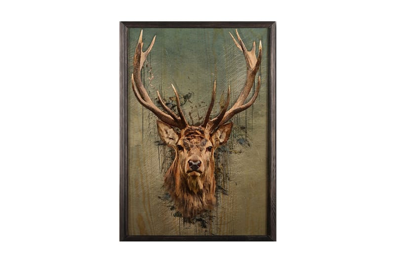 Koristeellinen Kehystetty Maalaus  50x70 cm, Monivärinen