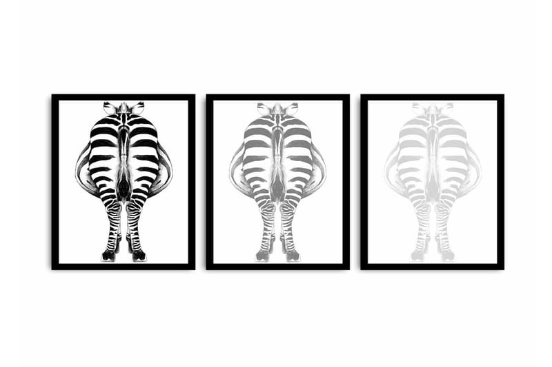 Koristeellinen kehystetty MDF Taulu (3 kpl), undefined