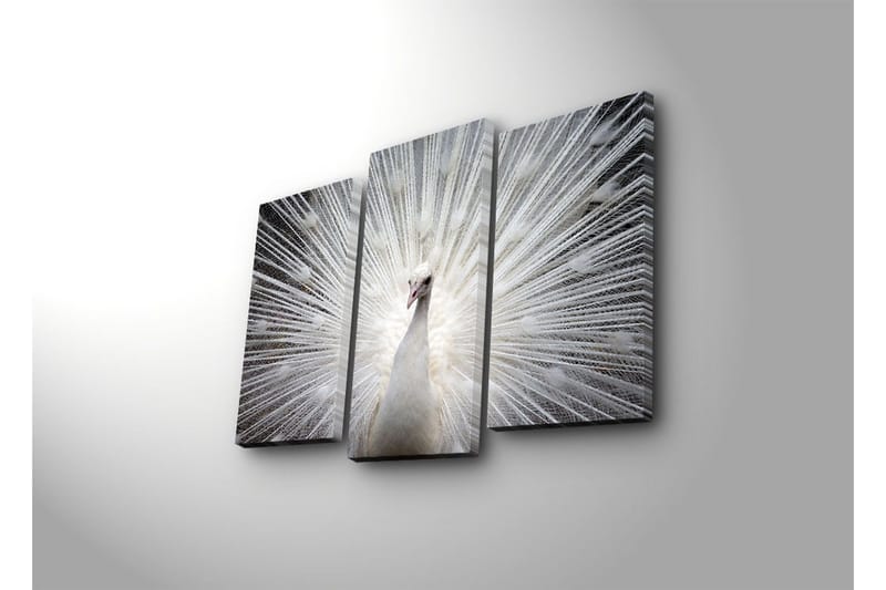 Koristeellinen Led Valaistu Canvas Taulu (3 kpl) - Sisustustuotteet - Taulu & taide - Canvas-taulu