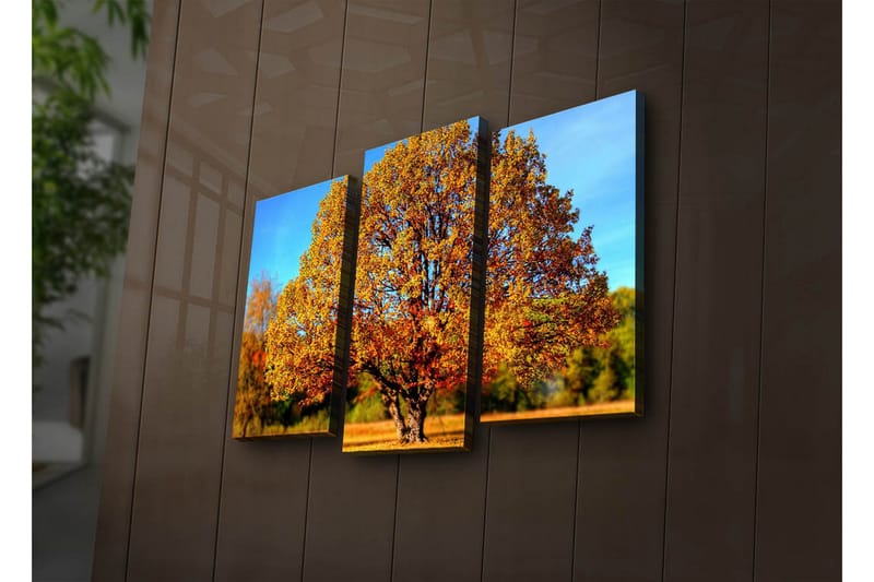 Koristeellinen Led Valaistu Canvas Taulu (3 kpl) - Sisustustuotteet - Taulu & taide - Canvas-taulu