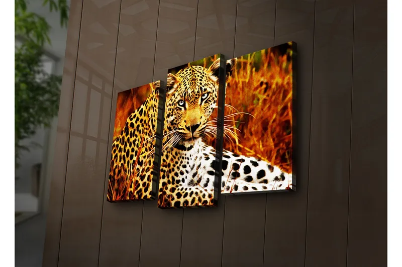 Koristeellinen Led Valaistu Canvas Taulu (3 kpl) - Sisustustuotteet - Taulu & taide - Canvas-taulu