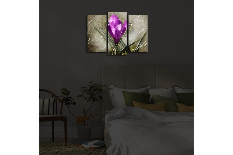 Koristeellinen Led Valaistu Canvas Taulu (3 kpl) - Sisustustuotteet - Taulu & taide - Canvas-taulu