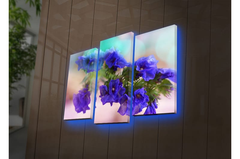 Koristeellinen Led Valaistu Canvas Taulu (3 kpl) - Sisustustuotteet - Taulu & taide - Canvas-taulu