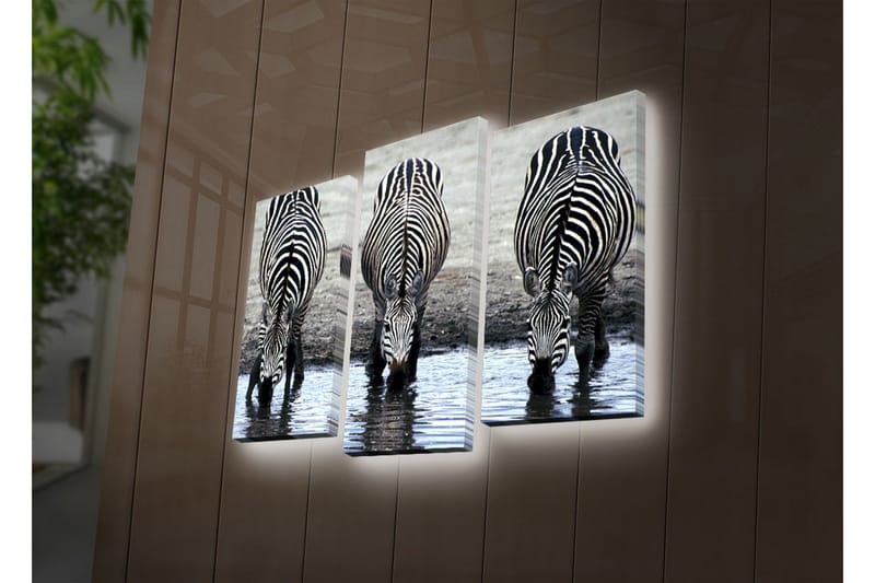 Koristeellinen Led Valaistu Canvas Taulu (3 kpl) - Sisustustuotteet - Taulu & taide - Canvas-taulu