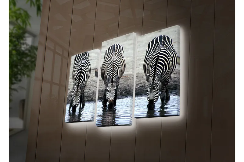 Koristeellinen Led Valaistu Canvas Taulu (3 kpl) - Sisustustuotteet - Taulu & taide - Canvas-taulu