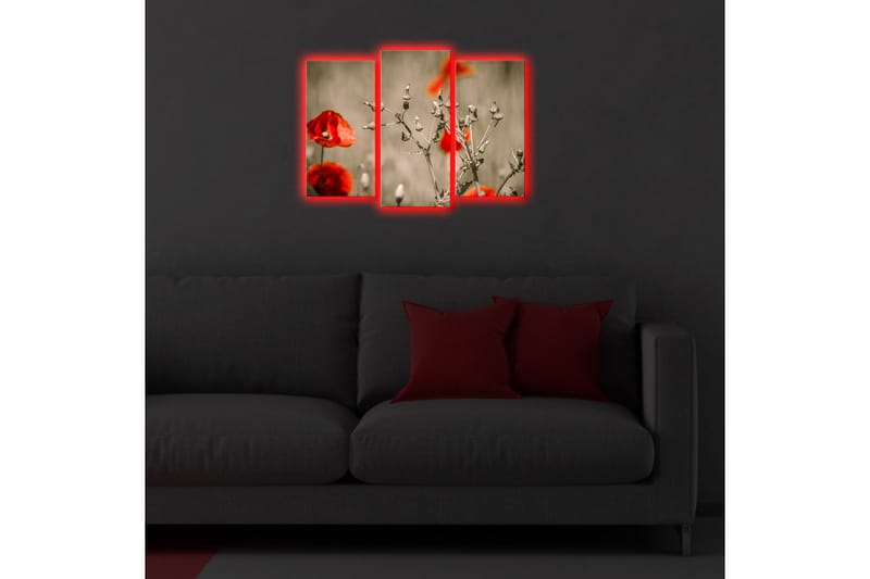 Koristeellinen Led Valaistu Canvas Taulu (3 kpl) - Sisustustuotteet - Taulu & taide - Canvas-taulu