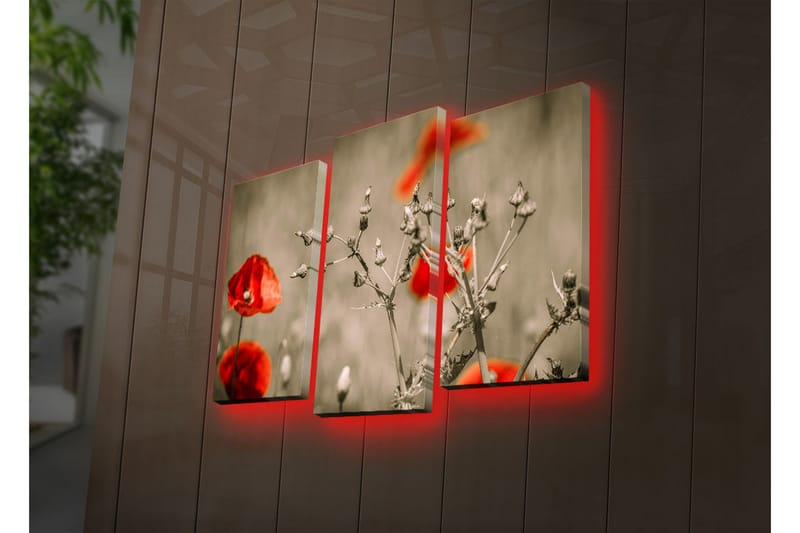 Koristeellinen Led Valaistu Canvas Taulu (3 kpl) - Sisustustuotteet - Taulu & taide - Canvas-taulu