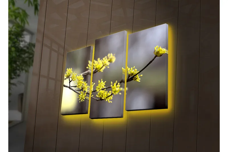 Koristeellinen Led Valaistu Canvas Taulu (3 kpl) - Sisustustuotteet - Taulu & taide - Canvas-taulu